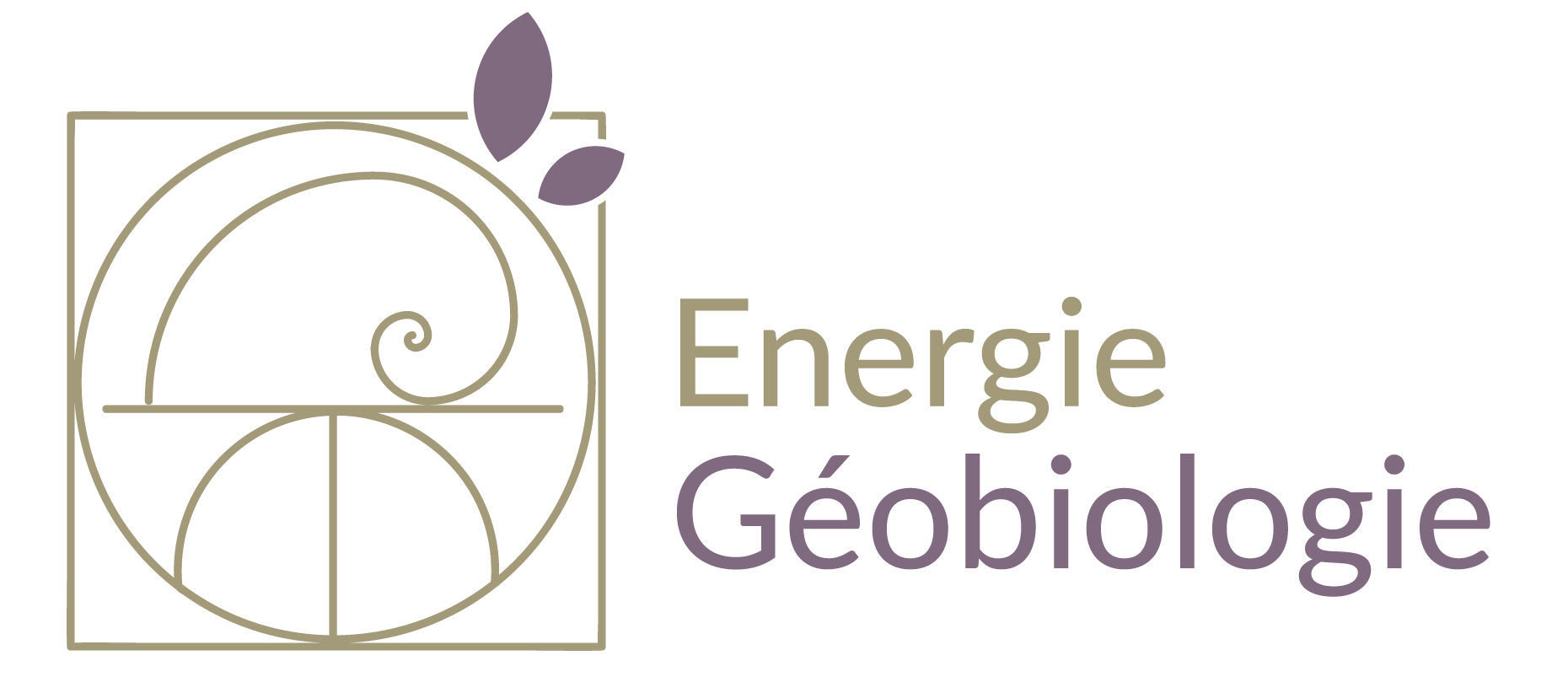 Geobiologie et énergie de l'habitat, formation geobiologie
