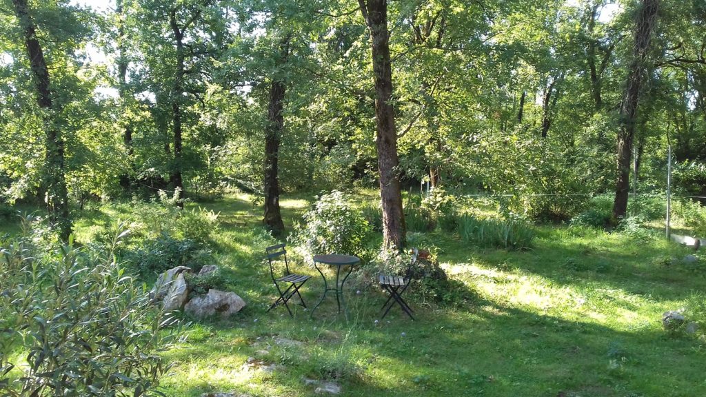 Jardin stages énergie géobiologie